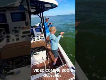 SHARK FISHING MAYHEM!  #shorts