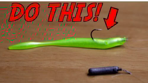 CATCH MORE Fish On A Dropshot By Doing THIS!