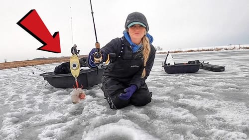 MAGIC catfish LURE? (Ice Catfish with PigPatrol)