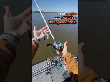 Catching a Big Bass on a Spinnerbait in Muddy, Windy Conditions #fishing
