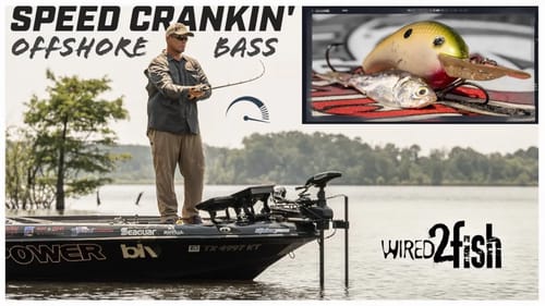 Speed Fishing Deep-Diving Crankbaits for Summer Bass