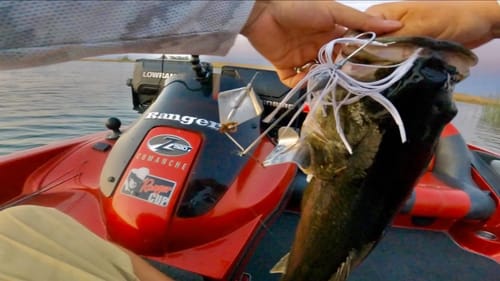 Testing an UNRELEASED Bait | I Think It Works 🧐