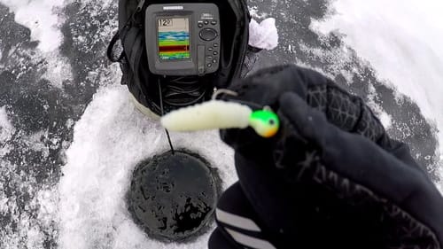 Ice Fishing With Artificial Waxworms - Multispecies Action!