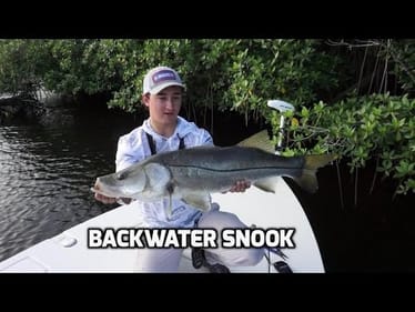 Catching Big Snook and Bass