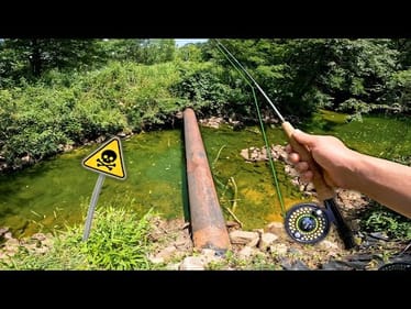 SKETCHY URBAN CREEK Fly Fishing MISSION! (Multi-Species)