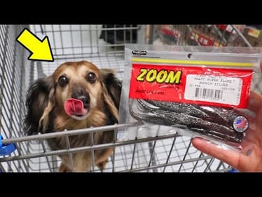 PUPPY Picks Fishing Lures CHALLENGE (Bark)