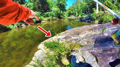 A Shocking Find Under This Rock!