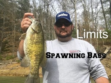 Tournament Practice South Holston Lake | Limits S1E5