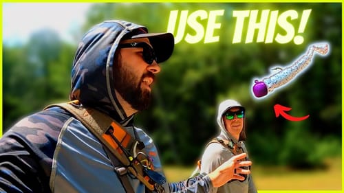 The BEST Creek Fishing Bait You'll EVER USE!