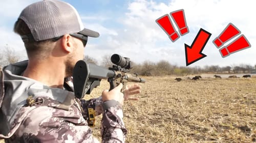 Intense Pig Hunting | BIG Boar Hog Mock Charging Us!