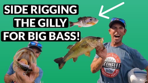 Side Rigging The Gilly For Big Bass!