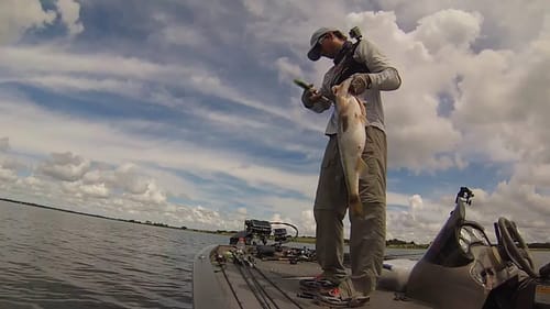 Big Bag Swimbait Pattern For Bass Fishing Florida in Summer
