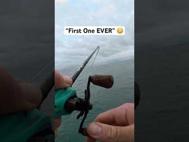 Jacob Wheeler NEW SPECIES! 🤯