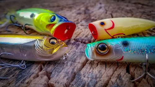 Topwater Tricks For Early Fall