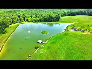 Locating Our 2 Pet Bass Bonnie and Clyde! (2 Years After Release)