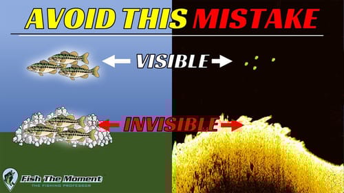 Don’t Fall Into This Common Fish Finder Trap!