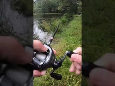 GIANT BASS From SECRET pond! #shorts