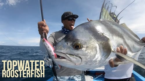 Megabass Trigya Pencil Rooster Fish shot in 360