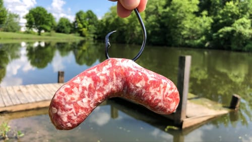 I Could NOT Believe What Ate THIS!!! (Surprise Catch)