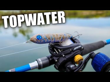 Spring Topwater Bass Fishing - Bass LOVED this Lure!