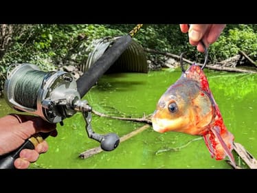 This is One of The RAREST Fish in the WORLD!!! (New PB!)