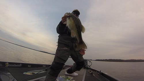Big Spotted Bass on Lake Lanier "Including a Double Header"!