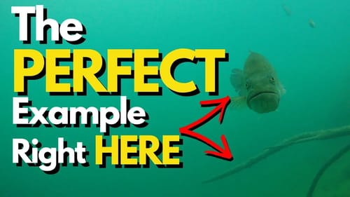 The KEY To Fishing Isolated Cover | Bass Fishing Tips