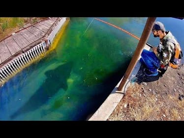 I was SHOCKED we caught this CREEK MONSTER!!