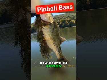 It can HAPPEN this FAST Fishing the Grass