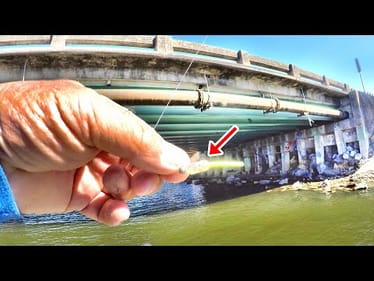This KEY Location Is LOADED With Crappie In The Fall!