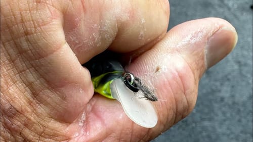 The Best Summer Crankbait Ever Made…