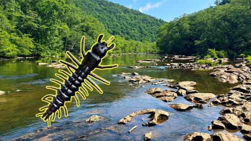 Taking This Lure Back to the Beginning...