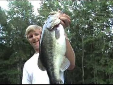 Topwater Bass - Spro Bronzeye Frog