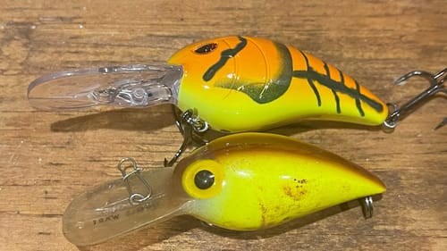 Wiggle Wart Or Rock Crawler…Which Is Better?