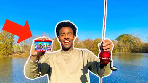 Live Bait Fishing For Massive BLUEGILL ($20 CHALLENGE)