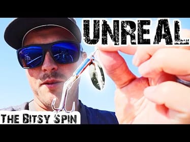 Using TINY BAITS On Lake Guntersville For TONS OF BASS!! (LOADED)