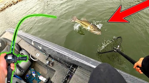 I Found a MEGA BASS Living in this Pressured Public Lake!! (Biggest of 2020)