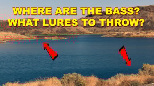 Top 5 Fall Lures For New Bodies Of Water | How To | Bass Fishing