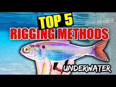 How to Rig and Fish the 6th Sense Panorama (Underwater Footage + Hacks)