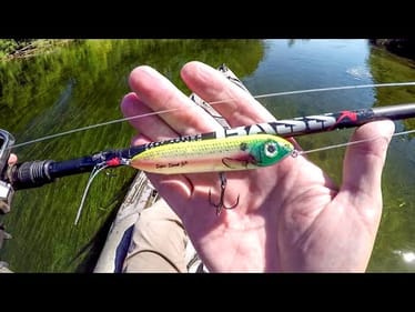 Are The Smallies Hitting Topwater Today?