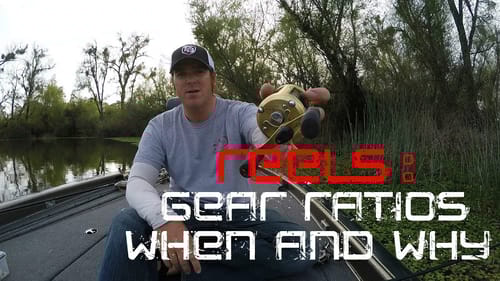 What Reel Should I Use?