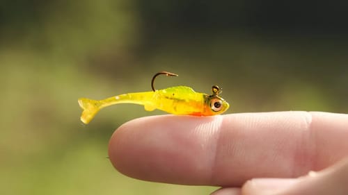 TINY Lure Challenge!!! (Micro Swimbait)