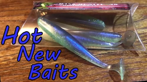 My Favorite Fall\Winter Soft Plastics