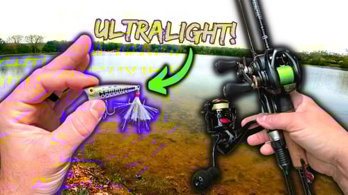 Ultralight Bank Fishing For ANYTHING That Bites In This TINY Pond!