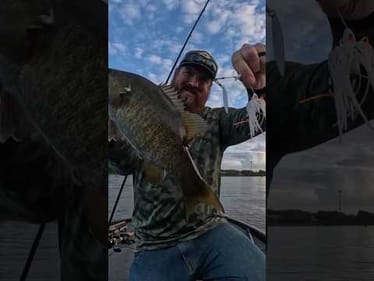 What's Your Favorite Spinnerbait Blade? Nickel? Gold? Painted? #shorts