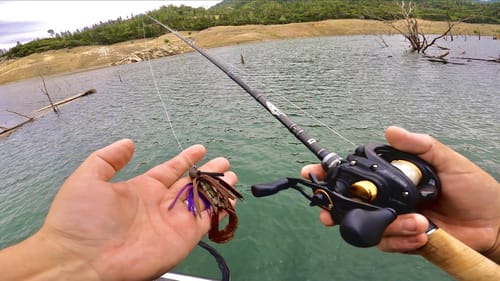 Catching Post Spawners With Casting Jigs & Weedless Darter Heads | Early Summer Bass Fishing