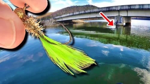 A Vertical Jigging Setup That Crappie Can't Refuse