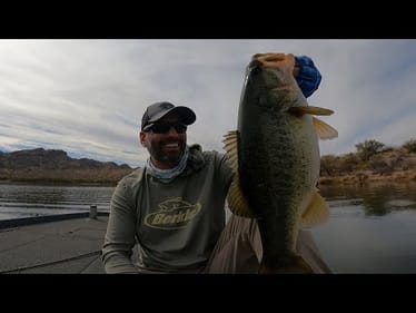 Golden Algae Crisis: Finding Active Bass When Everything’s Dying!