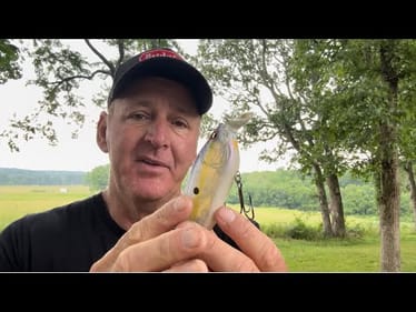 I’m Going To Rile Up Some Sensitive Types With This Crankbait Video…
