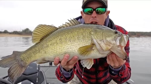 MONDO BASS eats Lure while Deep Brush Fishing